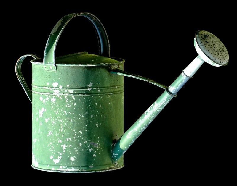 Enchanted Watering Can